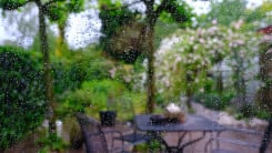 view of garden through raindrops on window