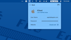 Viewing a password entry in Apple Passwords menu bar utility.